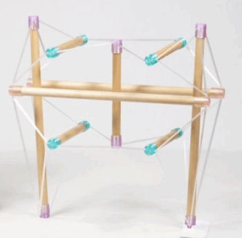 Tensegrity Pelvis - NEW!